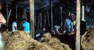 <span style='color:#ff0000;font-size:18px;'>২ লক্ষাধিক টাকার ক্ষয়ক্ষতি</span> <br/> ছাতকে কৃষকের খড়ের গাদায় আগুন দিল দুর্বৃত্তরা