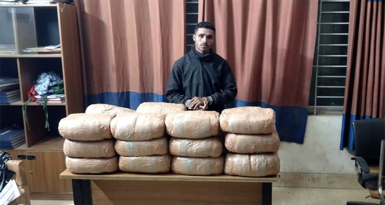 মাধবপুরে বিপুল পরিমাণ গাঁজাসহ মাদক কারবারি গ্রেপ্তার