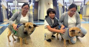 ১০ বছর পর পরিবারের কাছে ফিরলো হারিয়ে যাওয়া কুকুর