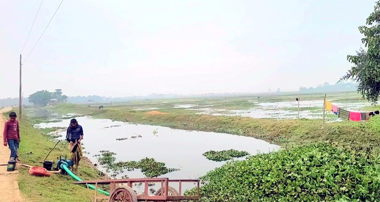 শান্তিগঞ্জে অনাবাদি জমিতে সেচ করতে গেলে প্রতিপক্ষের হামলা: আহত ৬