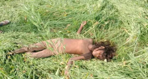 লাখাইয়ে সরিষা ক্ষেত থেকে শিশুর মরদেহ উদ্ধার