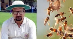 মৌমাছির আক্রমণে আম্পায়ারের মৃত্যু