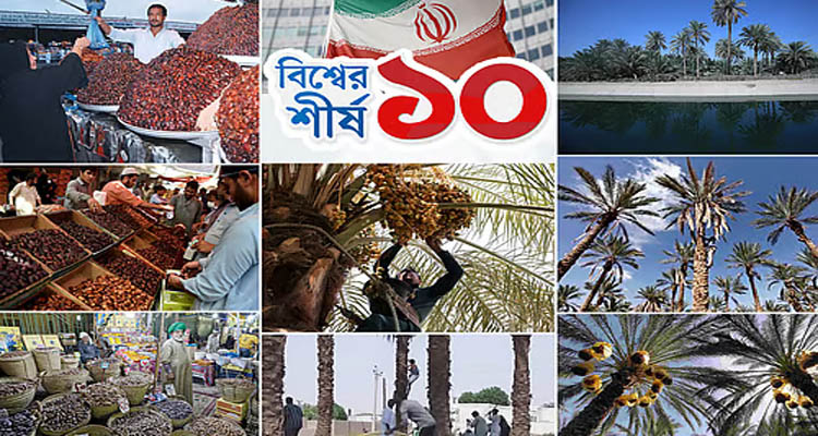 বিশ্বে খেজুর উৎপাদনে শীর্ষে কারা