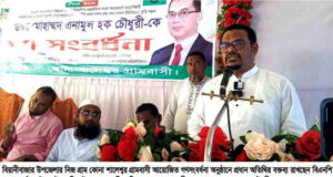 মন্ত্রীসভায় ঠাই পেতে যাচ্ছেন ড. এনামুল হক চৌধুরী