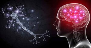 মস্তিষ্ক তরুণ রাখার ৫ কৌশল