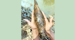 শ্রীমঙ্গলে ১৯৭১ সালের অবিস্ফোরিত মর্টার শেল উদ্ধার