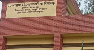 ব্যালট ছিনতাই, উদ্ধার ধানের শীষে সিল মারা বই