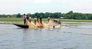 টাঙ্গুয়ার হাওরে মাছের ‘অর্ধেক’ প্রজাতি ‘বিলুপ্তের’ নেপথ্যে কী