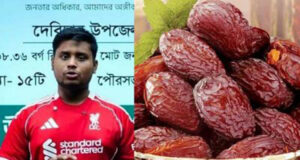 হাসনাত এমপি না হলে, সরকার যে খেজুর দেয় জনগণ জানতোই না