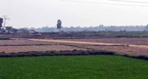 হবিগঞ্জে রাতের আঁধারে মাটি কাটার মহোৎসব: নিশ্চুপ প্রশাসন