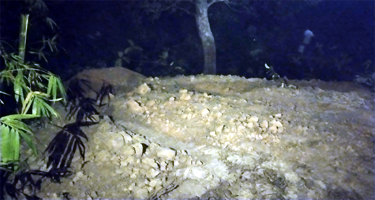 কৃষি জমি থেকে অবৈধভাবে মাটি উত্তোলন, জরিমানা