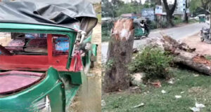 চলন্ত অটোরিকশার ওপর গাছ চাপায় প্রাণ গেল নারীযাত্রীর