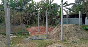 বিএনপি নেতার বিরুদ্ধে ১০ কোটি টাকার সরকারি ভূমি জবর-দখলের অভিযোগ