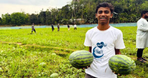 জুড়ীতে হলুদ তরমুজ চাষে খোর্শেদ আলমের সাফল্য