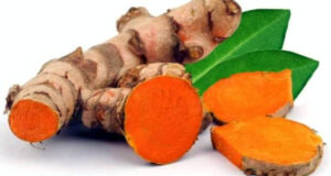 খালি পেটে কাঁচা হলুদ খাওয়ার উপকারিতা