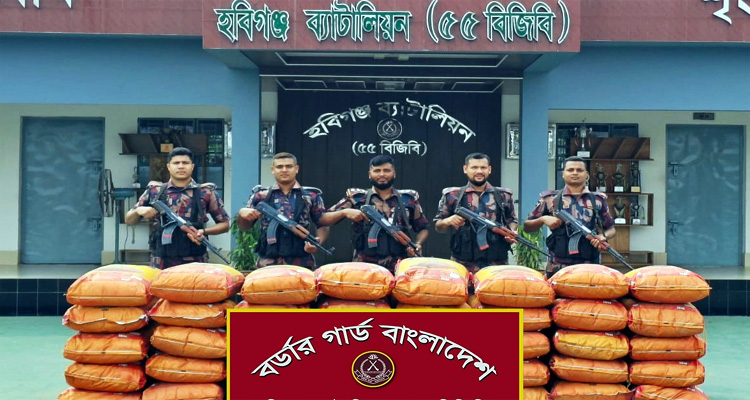 মাধবপুরে ২৭ লাখ টাকার ভারতীয় পণ্য জব্দ