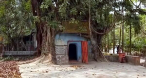 শিকড়ে জড়িয়ে আছে ‘গায়েবি মসজিদ’