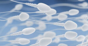 মহাকাশ ভ্রমণ যে প্রভাব ফেলতে পারে প্রজনন ক্ষমতায়