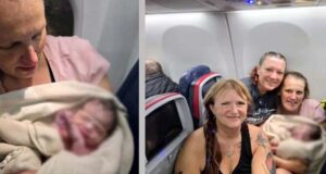 বিমানে মাঝ আকাশে জন্ম নিল ফুটফুটে শিশু