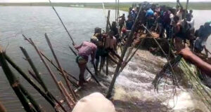 <span style='color:#ff0000;font-size:18px;'>নিয়ন্ত্রণে কাজ করছে কৃষক</span> <br/> বাঁধ ভেঙে পানি ঢুকছে হাওরের বোরো ক্ষেতে, ফসল ডুবার আশঙ্কা