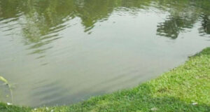 বড়লেখায় পানিতে ডুবে শিশুর মৃত্যু