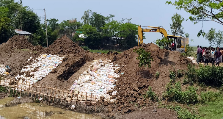 বৃষ্টির কারণে হাওরে জলাবদ্ধতা, ডুবছে সোনালী ফসল