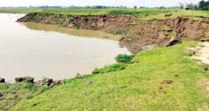 কালনী নদীর ভাঙ্গনে নিঃস্ব হাজারো মানুষ