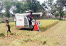 মাধবপুরে হারভেস্টার নিয়ে নৈরাজ্য, বেশি দাম আদায়ের অভিযোগ