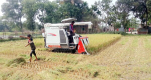 মাধবপুরে হারভেস্টার নিয়ে নৈরাজ্য, বেশি দাম আদায়ের অভিযোগ