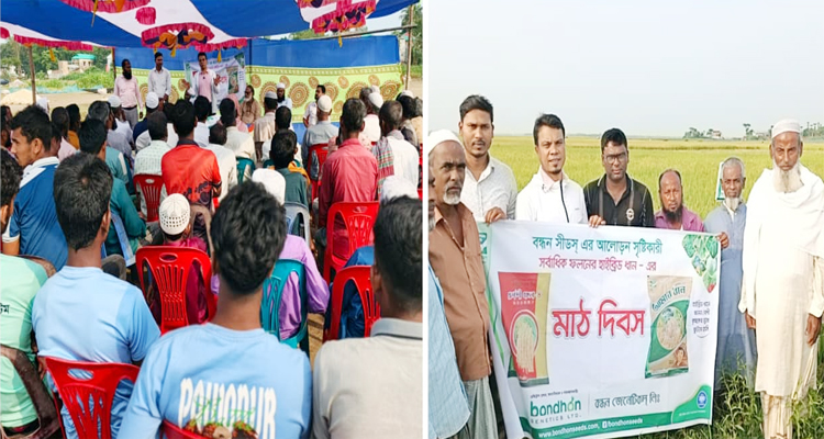 ‎বন্ধন জেনেটিকসের উদ্যোগে কৃষক ‘মাঠ দিবস’ অনুষ্ঠিত