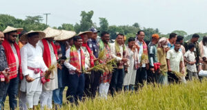 তাহিরপুরে উৎসব মুখর পরিবেশে বর্ষবরণ ও ধান কাটা উদ্বোধন