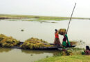 ‘ধান ডুবি গেলে আমরা বাঁচমু কিলা’