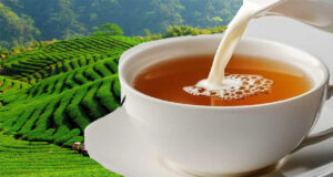 চায়ে কেন দুধ মেশাল ব্রিটিশরা? জেনে নিন সেই অদ্ভুত কারণ