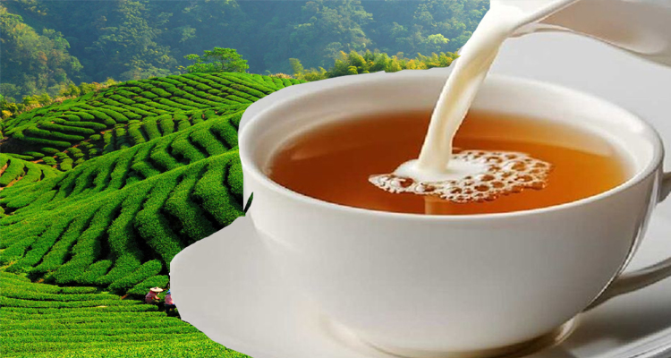 চায়ে কেন দুধ মেশাল ব্রিটিশরা? জেনে নিন সেই অদ্ভুত কারণ