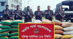 মাধবপুরে চোরাচালানবিরোধী অভিযানে জিরা ও গরু জব্দ