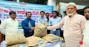 লাখাইয়ে বিনামূল্যে আউশ ধান বীজ ও রাসায়নিক সার বিতরণ