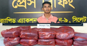 মাধবপুরে ৩৫ কেজি গাঁজাসহ মাদক ব্যবসায়ী গ্রেফতার