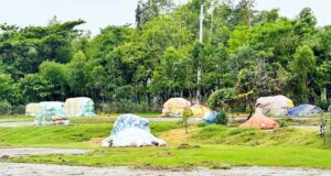 শান্তিগঞ্জে অতিবৃষ্টির কারণে বোরো ধান কাটায় অনিশ্চয়তা