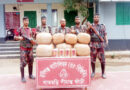 দুর্গম বনাঞ্চলে বিজিবির অভিযানে বিপুল পরিমাণ গাঁজা-বিয়ার জব্দ