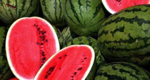 ভালো তরমুজ চেনার ৭ পদ্ধতি