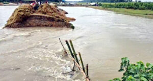 সুনামগঞ্জে পাহাড়ি ঢলে এরনবিলের বাঁধ ভেঙে গেছে