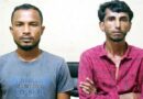 সাতছড়ি বন্যপ্রাণী রেঞ্জে সেগুন গাছ চুরির দায়ে দুইজন কারাগারে