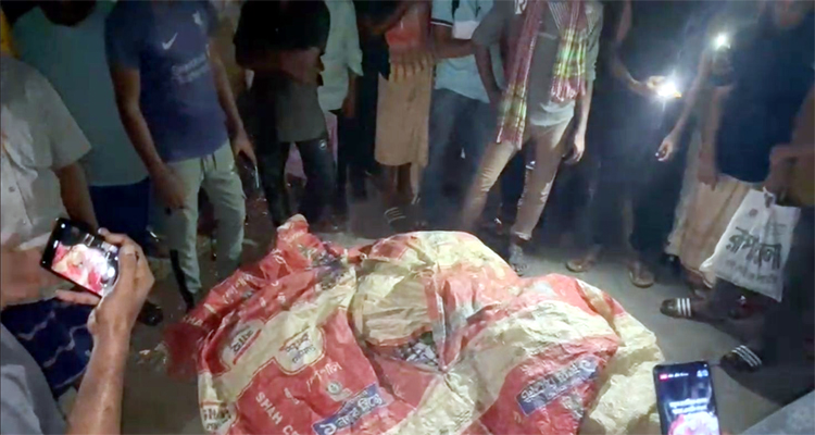গোলাপগঞ্জে সড়ক দুর্ঘটনায় বাইসাইকেল আরোহী নিহত