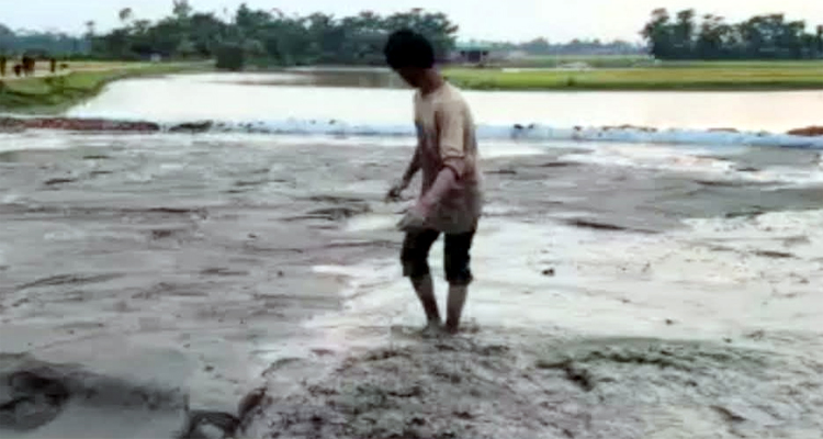 সুরমা নদীতে বালু উত্তোলন, রাজস্ব ক্ষতি ২ কোটি টাকা