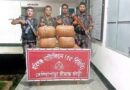 মাধবপুর সীমান্ত থেকে ভারতীয় গাঁজা উদ্ধার