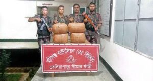 মাধবপুর সীমান্ত থেকে ভারতীয় গাঁজা উদ্ধার