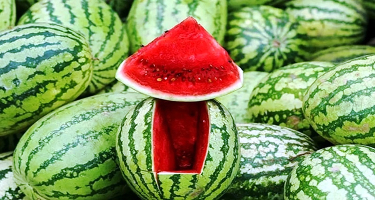 রাতে তরমুজ খাওয়া কি ঠিক?