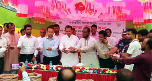 ‎জামালগঞ্জে বোরো ধান সংগ্রহ কার্যক্রম উদ্বোধন করলেন এমপি কামরুল