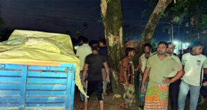 গোলাপগঞ্জে স্থানীয়দের হাতে ভারতীয় মসলা ভর্তি পিকআপ আটক