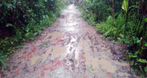 বর্ষায় জলাবদ্ধতা, জকিগঞ্জে এক সড়কের দুর্ভোগে ৫ গ্রাম